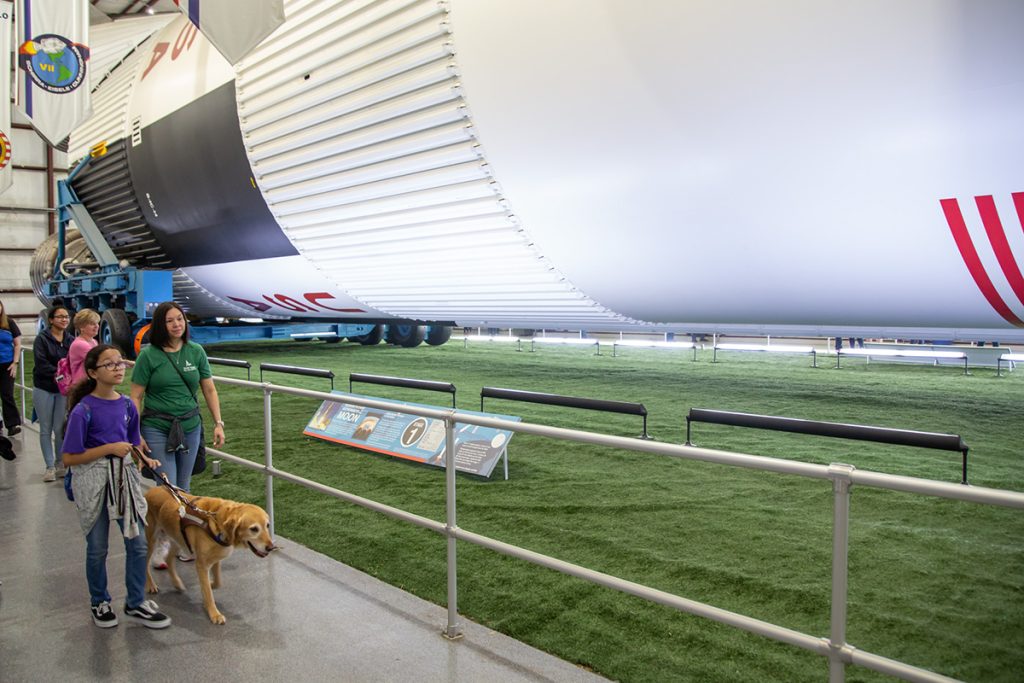 Guide dogs in Rocket Park